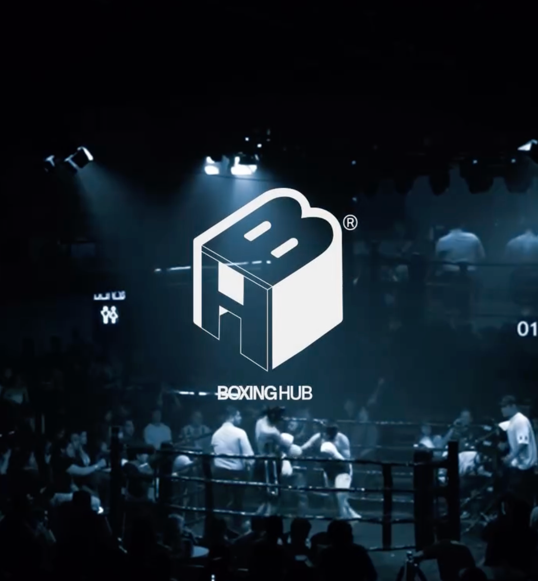 BOXING HUB EN FIGHT NIGHT. 🥊